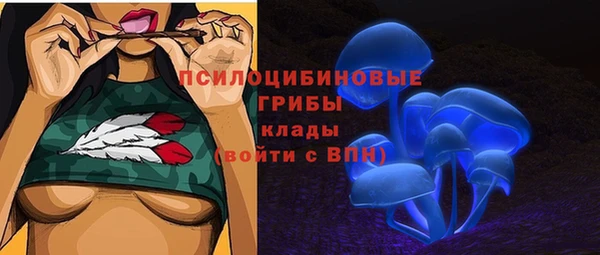 ПСИЛОЦИБИНОВЫЕ ГРИБЫ Новодвинск