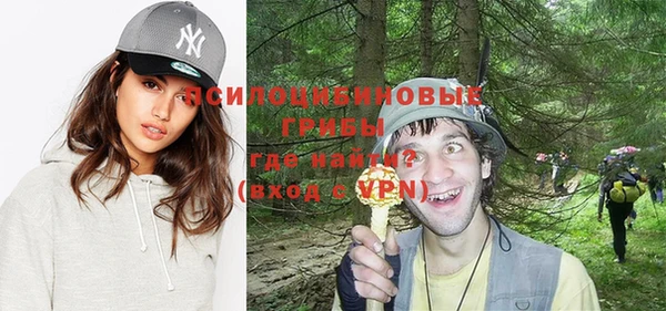ПСИЛОЦИБИНОВЫЕ ГРИБЫ Новодвинск