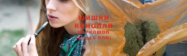 шишки Нефтегорск