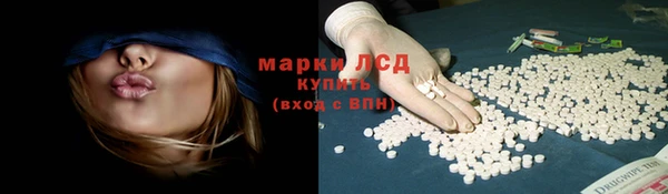 хмурый Новозыбков