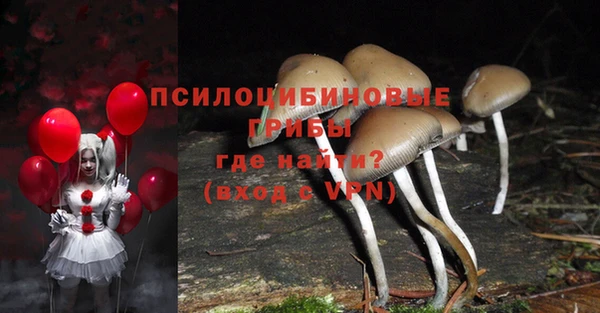 хмурый Новозыбков