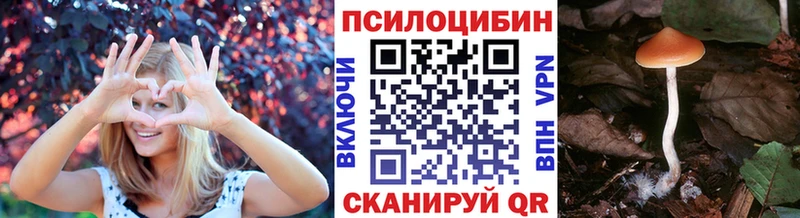 omg ONION  Нолинск  Псилоцибиновые грибы Cubensis 